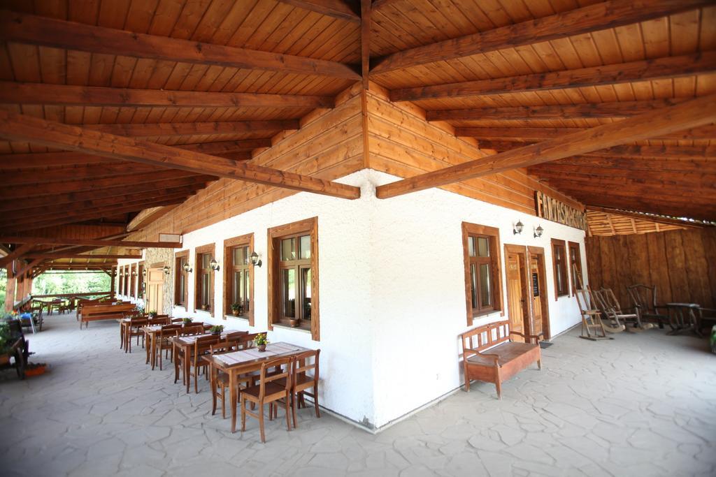 Siedlisko Brzeziniak Hotel Cisna Bagian luar foto