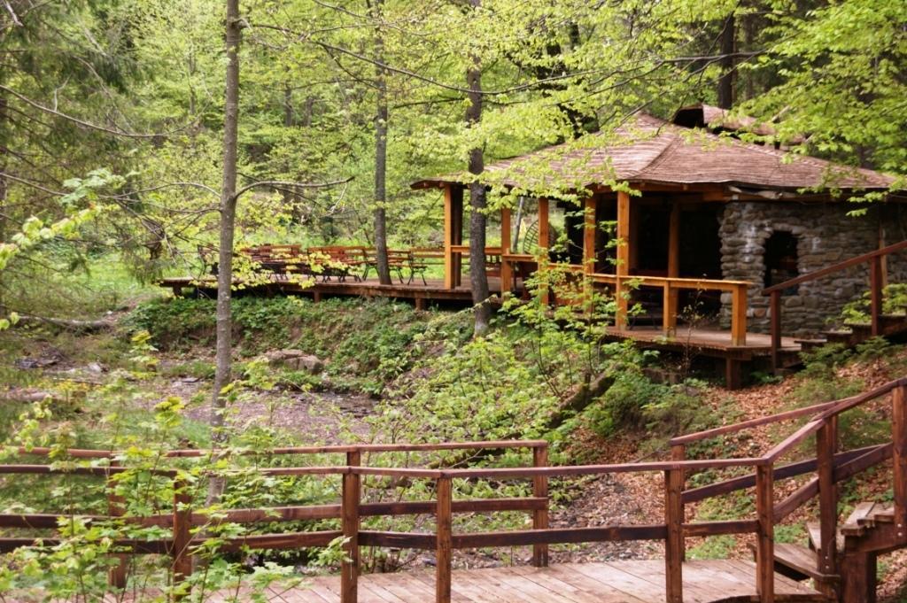 Siedlisko Brzeziniak Hotel Cisna Bagian luar foto